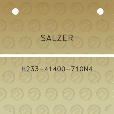 salzer-h233-41400-710n4