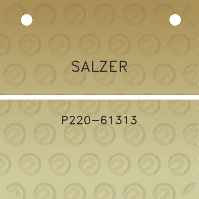 salzer-p220-61313