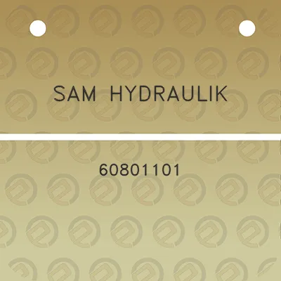 sam-hydraulik-60801101