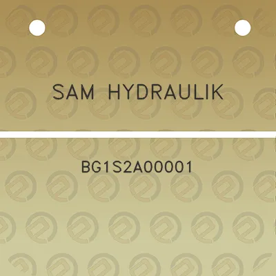 sam-hydraulik-bg1s2a00001