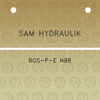 sam-hydraulik-bgs-p-e-nbr