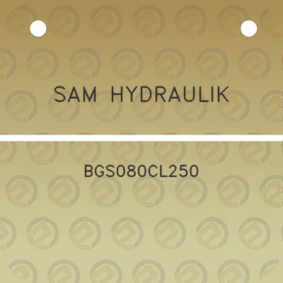 sam-hydraulik-bgs080cl250