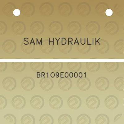 sam-hydraulik-br1o9e00001