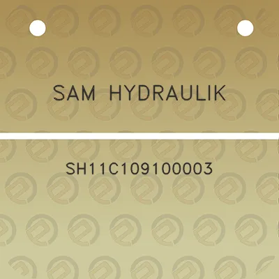 sam-hydraulik-sh11c109100003