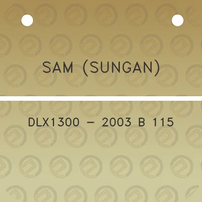 sam-sungan-dlx1300-2003-b-115