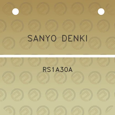 sanyo-denki-rs1a30a