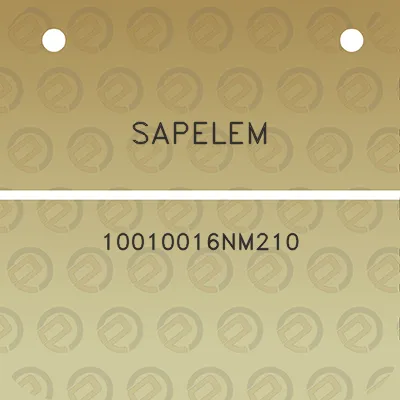 sapelem-10010016nm210