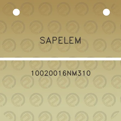 sapelem-10020016nm310