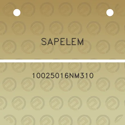 sapelem-10025016nm310