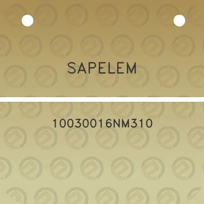 sapelem-10030016nm310