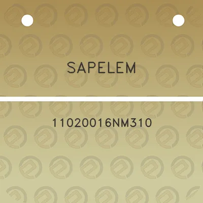 sapelem-11020016nm310