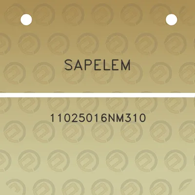 sapelem-11025016nm310