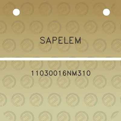 sapelem-11030016nm310