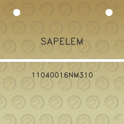 sapelem-11040016nm310