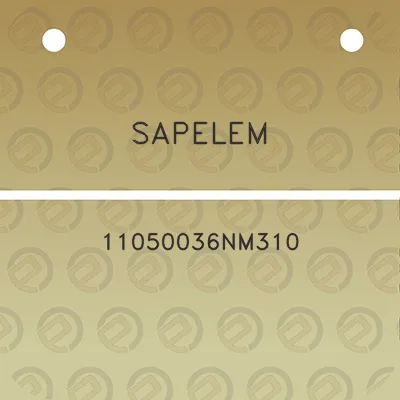 sapelem-11050036nm310