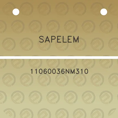 sapelem-11060036nm310