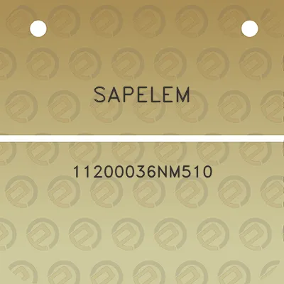 sapelem-11200036nm510