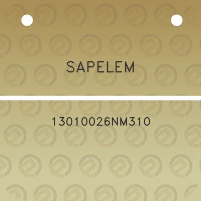 sapelem-13010026nm310