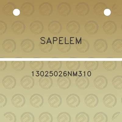 sapelem-13025026nm310