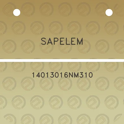 sapelem-14013016nm310