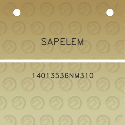 sapelem-14013536nm310