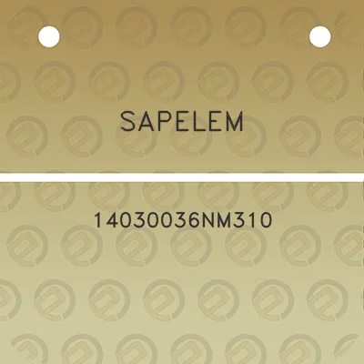 sapelem-14030036nm310