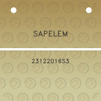 sapelem-23122016s3