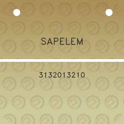 sapelem-3132013210