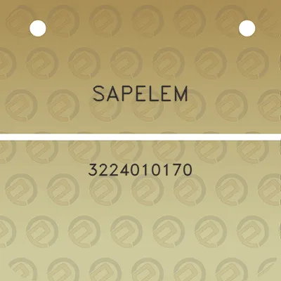 sapelem-3224010170