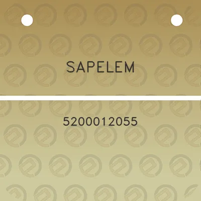 sapelem-5200012055