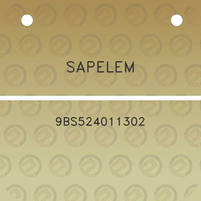 sapelem-9bs524011302