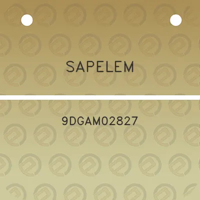 sapelem-9dgam02827