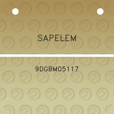 sapelem-9dgbm05117