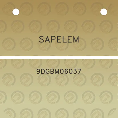 sapelem-9dgbm06037