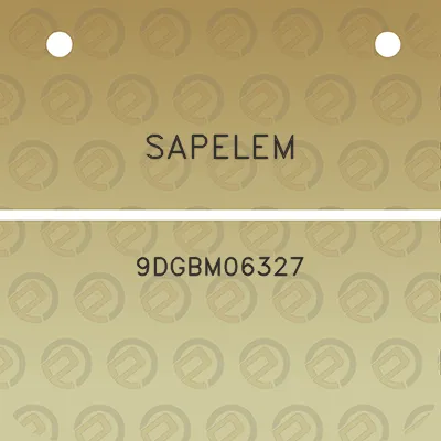 sapelem-9dgbm06327