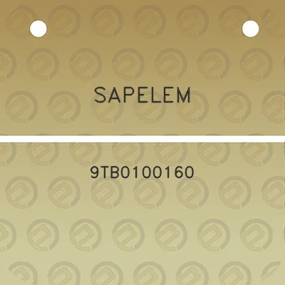 sapelem-9tb0100160