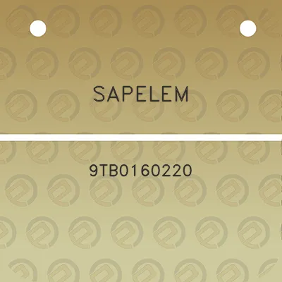 sapelem-9tb0160220