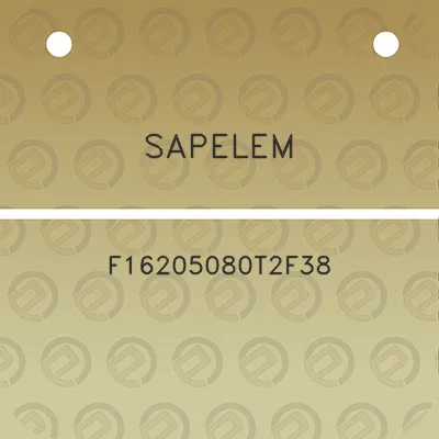 sapelem-f16205080t2f38