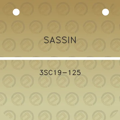 sassin-3sc19-125