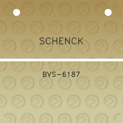 schenck-bvs-6187