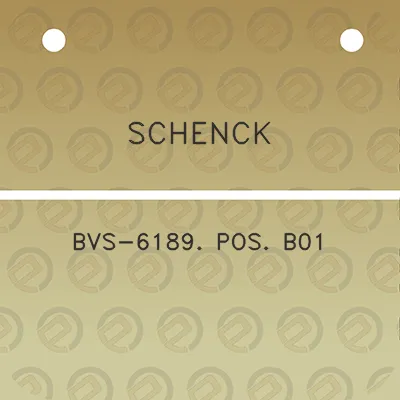 schenck-bvs-6189-pos-b01