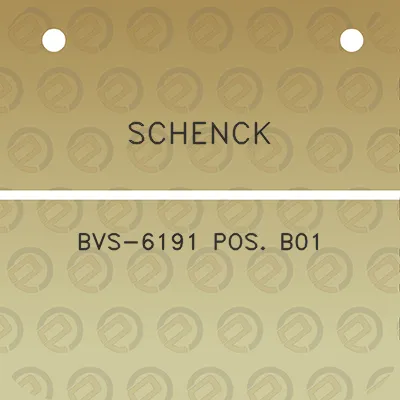 schenck-bvs-6191-pos-b01