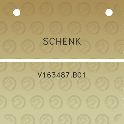 schenk-v163487b01