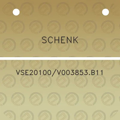 schenk-vse20100v003853b11