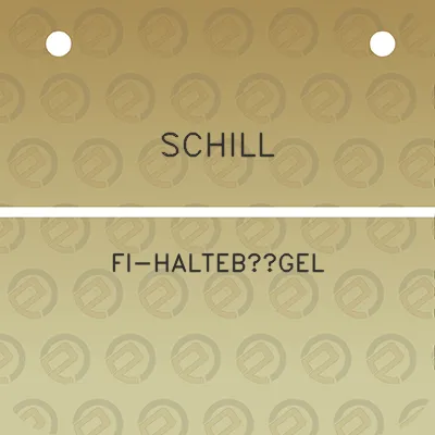 schill-fi-haltebugel