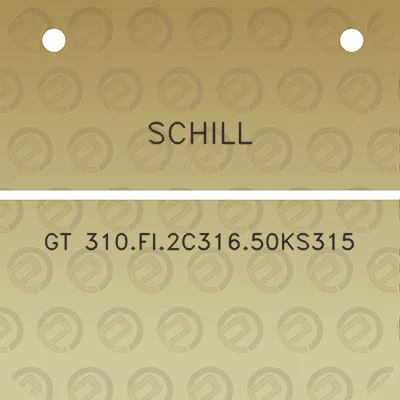 schill-gt-310fi2c31650ks315