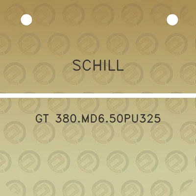 schill-gt-380md650pu325