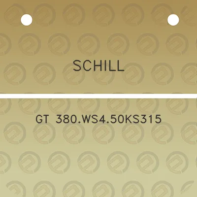 schill-gt-380ws450ks315