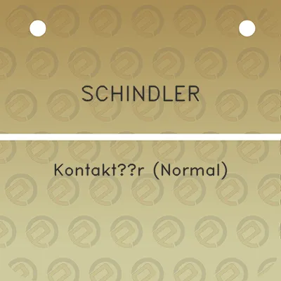 schindler-kontaktor-normal