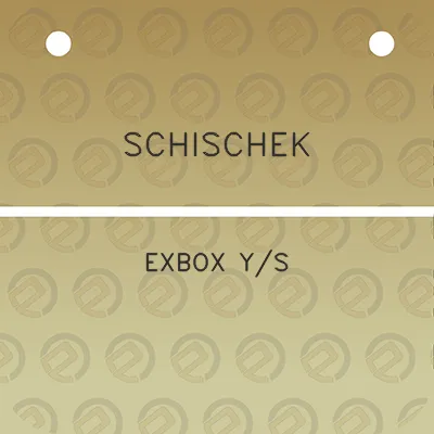 schischek-exbox-ys